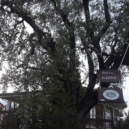 B&B Rosa Del Garda 拉齐塞 外观 照片