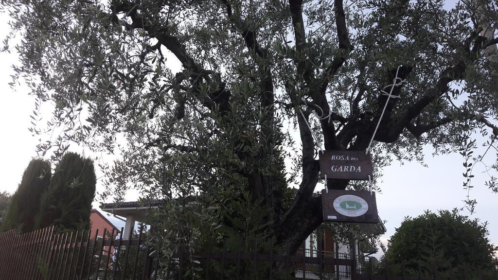 B&B Rosa Del Garda 拉齐塞 外观 照片